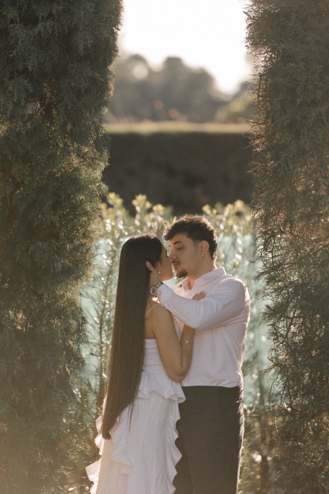Casal se beijando entre os pinheiros